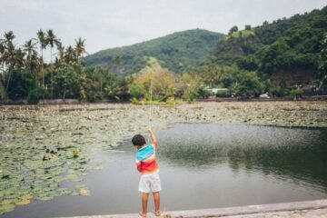 niño de espaldas, pescando frente a un lago...