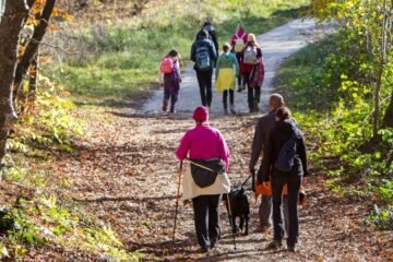 Un camino para recorrer con amigos